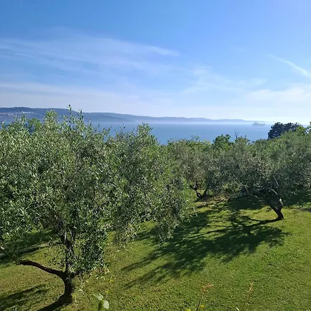 Robinia App Relax By The Sea And Nature